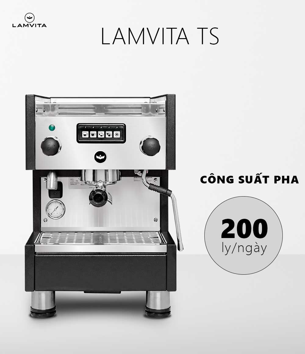 lamvita-ts (5)