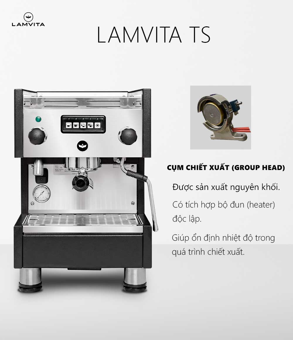 lamvita-ts (7)