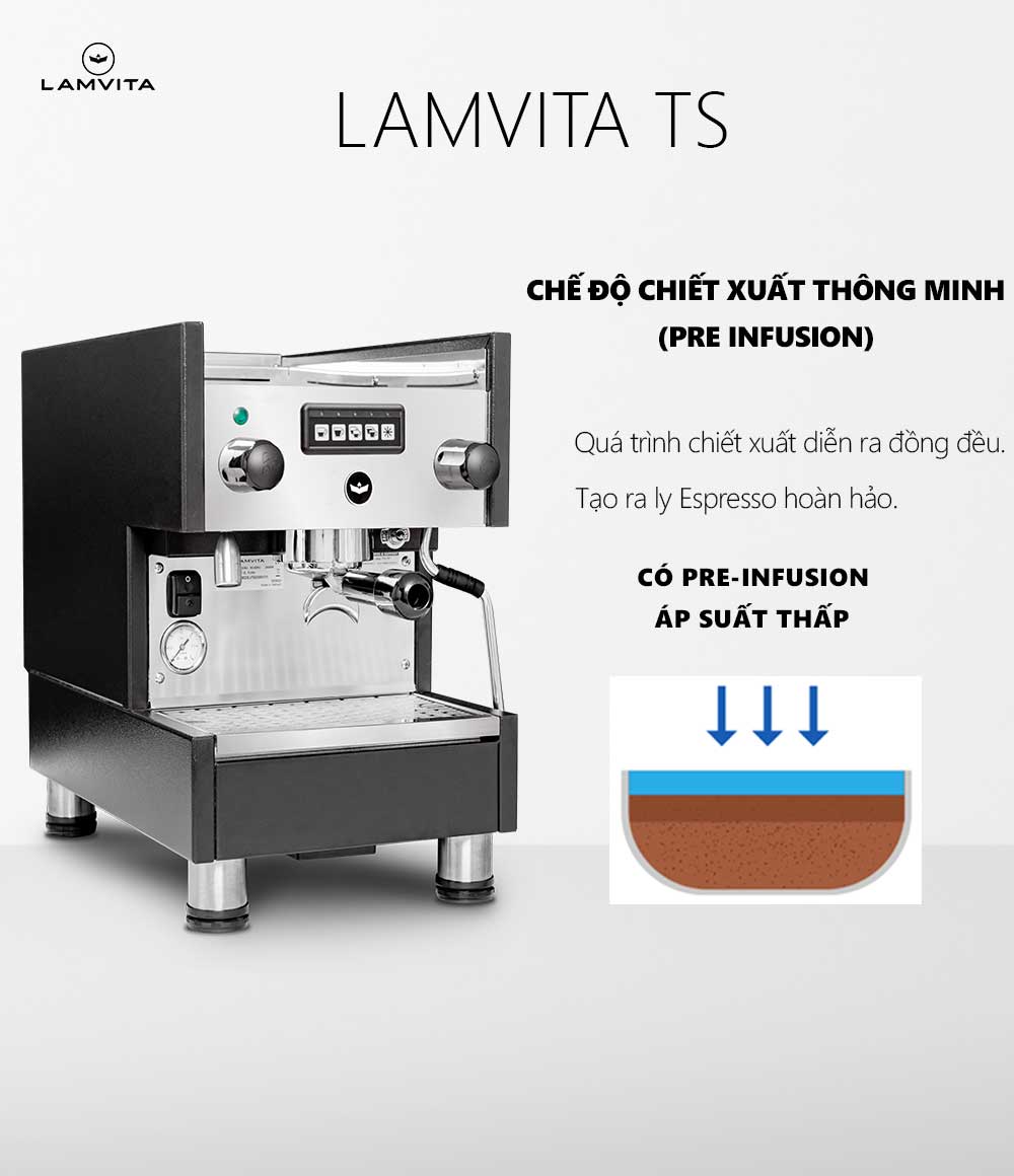lamvita-ts (8)