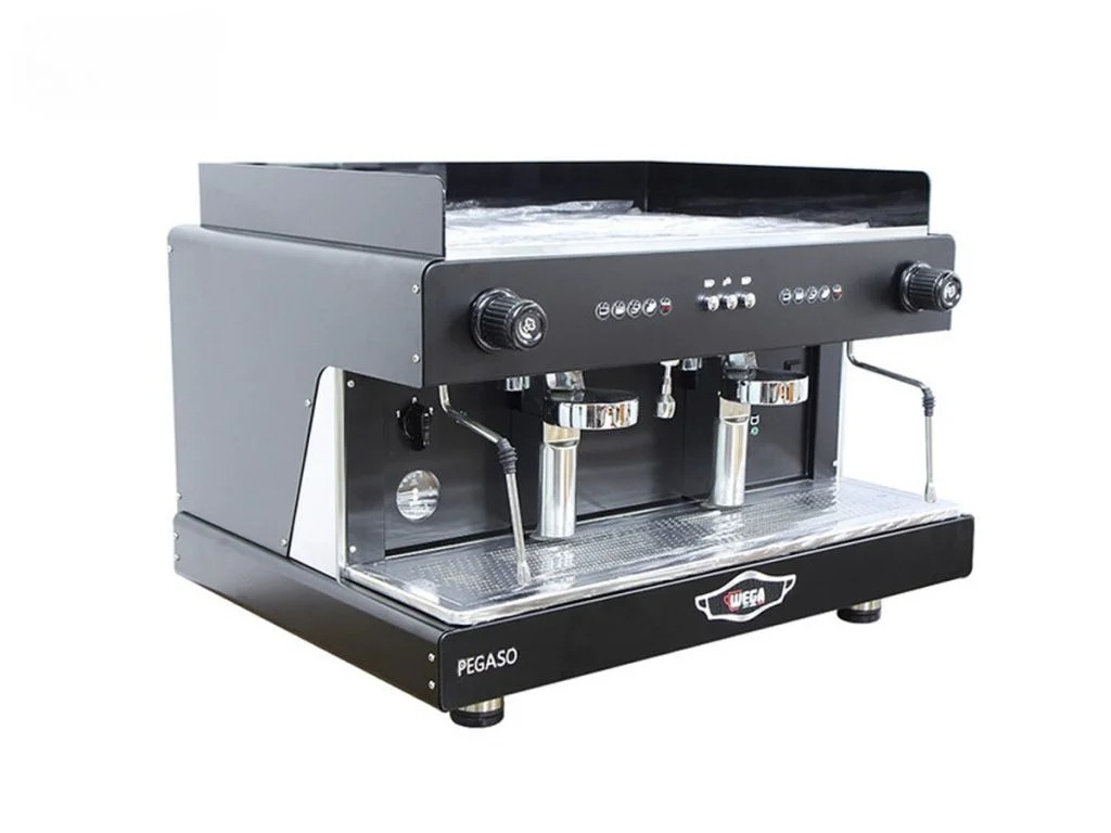 -may-pha-ca-phe-wega-pegaso-2-group (2)